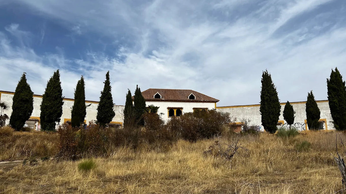 almazara elizondo