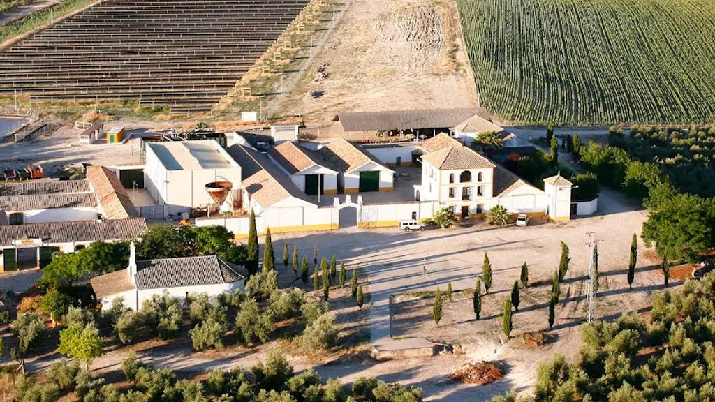 fabrica finca duernas