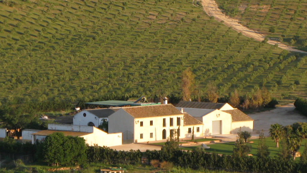 campos olivos finca la torre