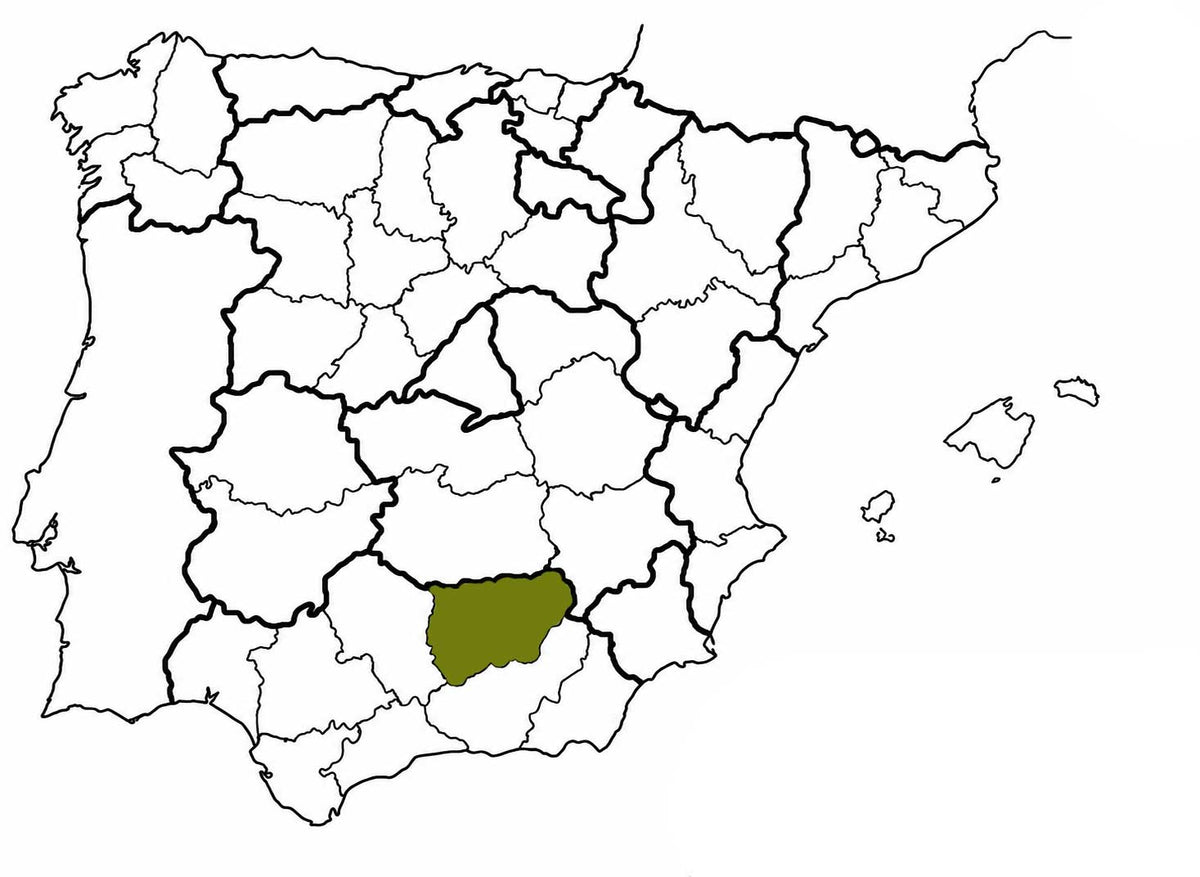mapa provincias españa jaen