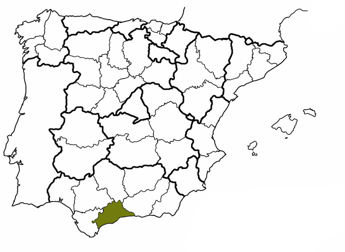 mapa provincias españa malaga